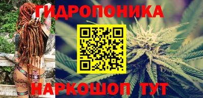 стафф Бердск
