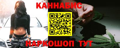 стафф Бердск
