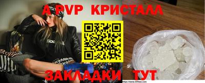 стафф Бердск